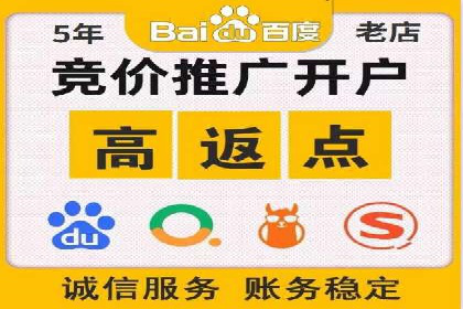竞价广告投放策略，代运营公司的成功实践